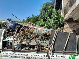 Demolition Debris Removal in Valencia West, AZ